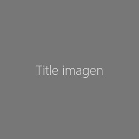 descripcopm imagen